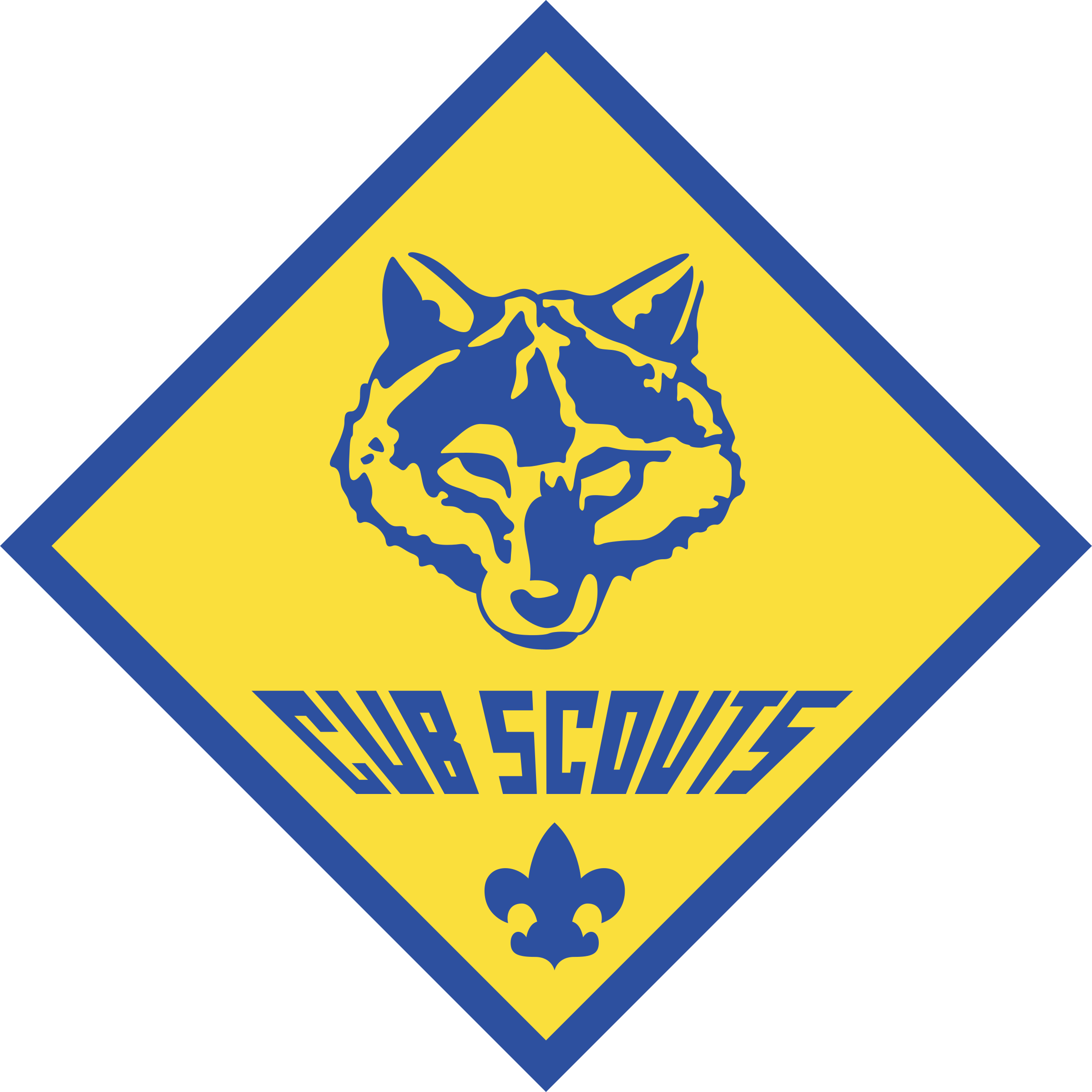 Cub Scout Pack 309